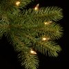 Tree Company 7.5-ft Douglas Fir Pre-lit Artificial Christmas Tree with Multicolor LED Lights - Image 5