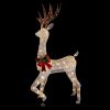 60-in Reindeer Free Standing Decoration with White LED Lights - Image 3